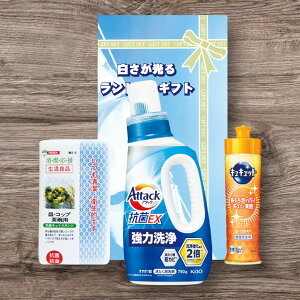 郉h[MtgAX-15BTԂ 䋟 e{ lߍ킹 Mtg v[g  ii i Vzj j oYj A z z j ʐ^ bZ[W