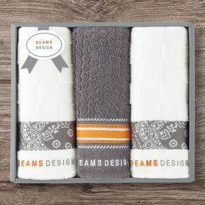 `FbJ[o_i tFCX^I3P r[XfUC 51-3139300TԂ 䋟 e{ lߍ킹 Mtg v[g  ii i Vzj j oYj A z z