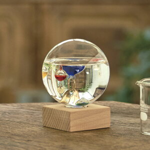 KXt[gxvh[S333-209TԂ 䋟 e{ lߍ킹 Mtg v[g  ii i Vzj j oYj A z z j ʐ^ bZ[W