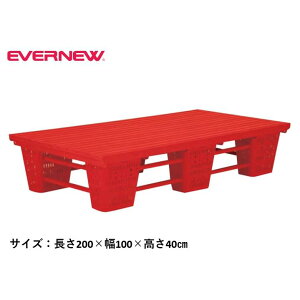 y@lzGoj[@ANAtA EVERNEW j v[ 200×100×40cm XC~OXN[ X|[c{ { ̑ wZ  EHB281