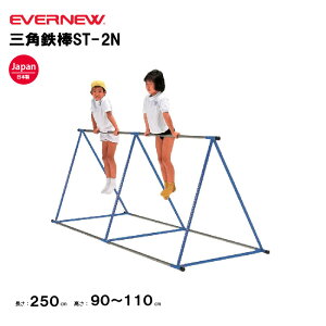 y@lzGoj[ Goj[@OpS_ST-2N EVERNEW S_ X|[c{ { ̑Nu ̑ wZ wZ { EKD391