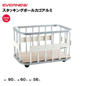 y@lzGoj[ X^bLO{[JSA~ EVERNEW JS ejX X|[c{ { ̑Nu ̑ wZ  { EKD914