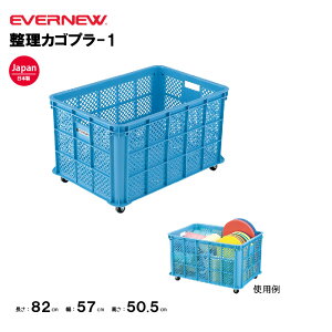 y@lzGoj[ JSv-1 EVERNEW JS X|[c{ { ̑Nu ̑ wZ  { EKE231