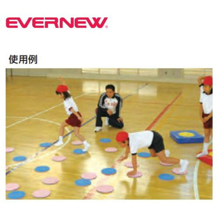 楽天市場】【法人限定】屋内スポーツリバーシ(10枚入) エバニュー 