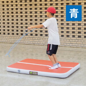 �y�@�l����z�G�o�j���[ �G�A�[�g���b�N�}�b�gS�i�F�j�@�@EVERNEW�@ETE210