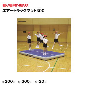 y@lzGoj[ GA[gbN}bg300 EVERNEW ̑ ̂ ETE211