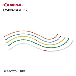 y@lzJl j ^ 5F^у[v5 Y KANEYA wZ Cxg { ̈{ NG[V |vs[v [q[gJbg Z^[}[Nt 5F 