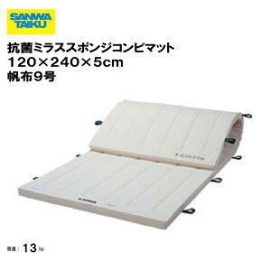 T^CCN ̑}bg p}bg ̑  wZ ct ۈ牀 { Oä SANWA TAIKU Rۃ~XX|WRr}bg@120×240×5cm z9 S-9741