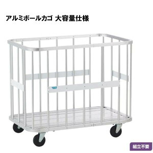 y@lzT^CCN A~{[JS@eʎdl wZ ̈p X|[cp Oä SANWA TAIKU {[JS S-0842