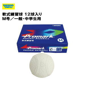 T^CCN K M ʁEwp 12 Kpi 싅`[  wZ { {[ o[f Oä SANWA TAIKU S-4019