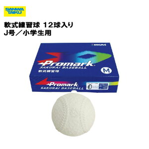 T^CCN K J wp 12 Kpi 싅`[  wZ { {[ o[f Oä SANWA TAIKU S-4021