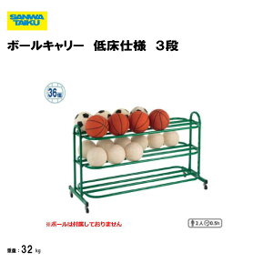 T^CCN {[L[ Ᏸdl 3i {[[ oXPbgL[ wZ {  Oä SANWA TAIKU S-4479