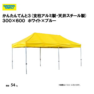 T^CCN 񂽂Ă3(I[A~) 300×600 wZ ^ wZs  v[ { X|[c{ Oä SANWA TAIKU S-8955