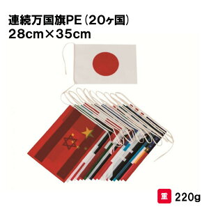 T^CCN   ^ wZ ct ۈ牀 Cxg NG[V Oä SANWA TAIKU APE(20) 28cm×35cm S-0595