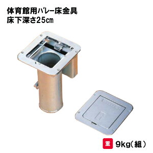 T^CCN o[{[ o[ xp wZ { ̈  ̈p X|[cp Oä SANWA TAIKU ̈ٗpo[ [25cm S-3765