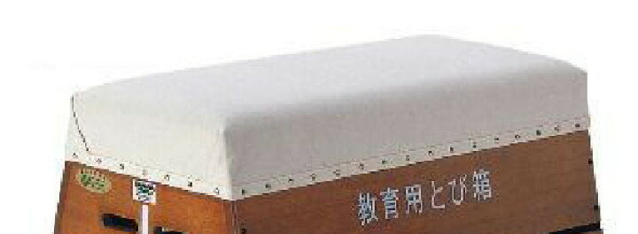 楽天市場】サンワタイイク とび箱 跳び箱 跳箱 8段 体操 中学校 高校 