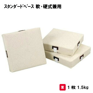 T^CCN 싅 x[X ݔ wZ {   Oä SANWA TAIKU X^_[hx[X EdpS-4984