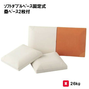 T^CCN \tg{[ \tg x[X ݔ wZ {   Oä SANWA TAIKU \tg_ux[XŒ莮 _ux[X1Eۃx[X2tS-4994