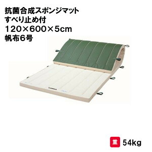 T^CCN ̑}bg p}bg ̑  wZ ct ۈ牀 { Oä SANWA TAIKU RۍX|W}bgׂ~ߕt 120×600×5cm z6 S-9664 @l