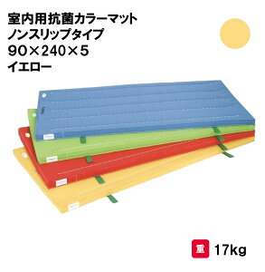 サンワタイイク マット カラーマット 体操 学校 幼稚園 保育園 施設 授業 三和体育 SANWA TAIKU 室内用抗菌カラーマットノンスリップタイプ 90×240×5 イエロー S-9876