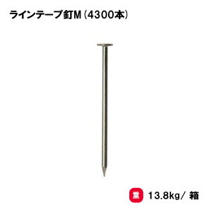 �g�[�G�C���C�g ���C���e�[�v�BM(4300�{) �e�[�v �O���E���h�p�i ���Z�R�[�g�p �e�j�X �o���[ �n���h �o�X�P �w�Z �{�� ���� TOEILIGHT G-1598 �@�l����