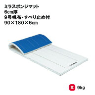 トーエイライト ミラスポンジマット 6cm厚 9号帆布・すべり止め付 90×180×6cm 体操マット 教育マット …
