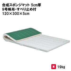 g[GCCg X|W}bg 5cm 9zEׂ~ߕt 120×300×5cm ̑}bg }bg ƃ}bg }bg ̑  wZ ct ۈ牀 { TOEILIGHT T-2471 @l