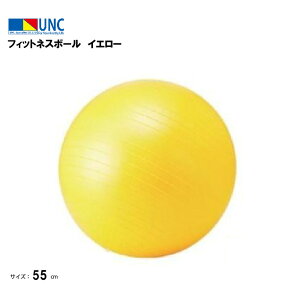 EUlbg tBbglX{[ CG[ a55cm ֎q `FA fXN[N K{[ C W[t q  ^ K seBX ̊  p Ջ ؃g oX 