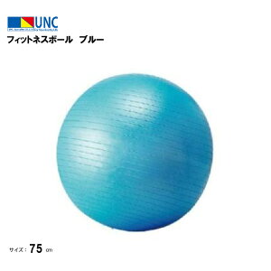 EUlbg tBbglX{[ u[ a75cm ֎q `FA fXN[N K{[ C W[t q  ^ K seBX ̊  p Ջ ؃g oX _