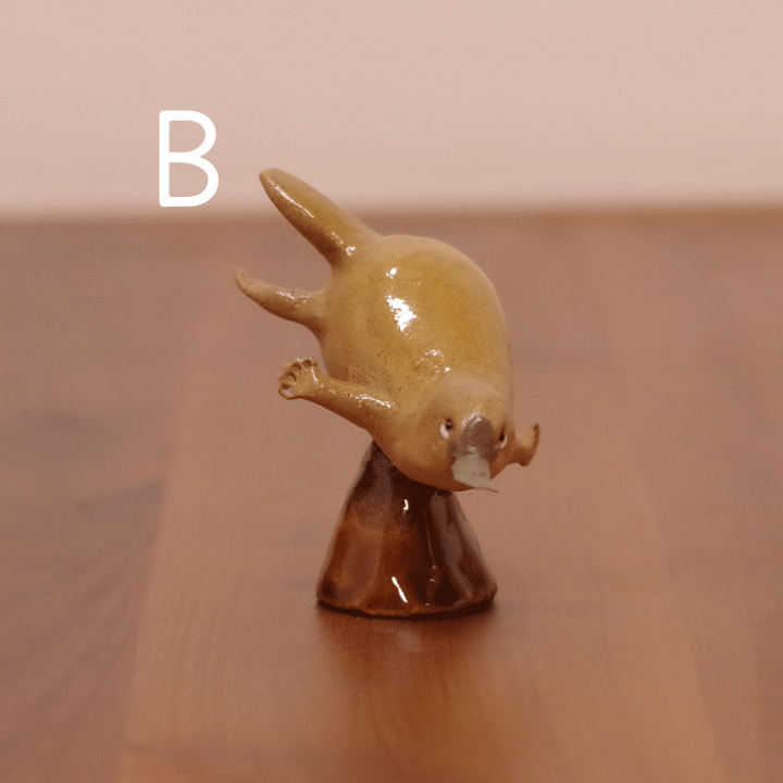 笠間焼】大崎透 陶の動物園 『ホウシャガメ』 陶器 オブジェ 置物 亀