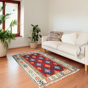 JCZL@^@gRDL 235×147cm bh@gCoO