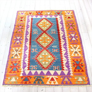 L O Dy1_́z 169×122cm gR JCZY E[100%Z^[O Zba[f /T̑ՂƔ̕