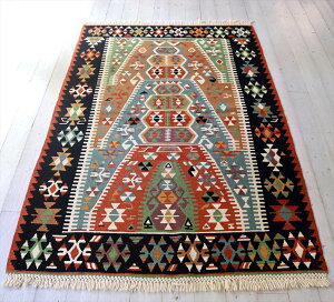 gR̎DL EVN181×120cmAȂ~t[v