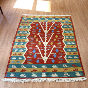 gR̎DL EVN170×117cm̎