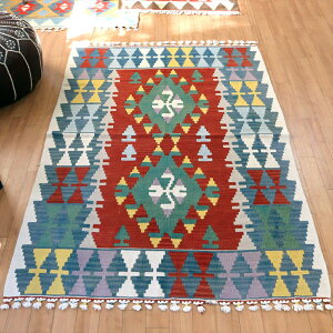 gR̎DL159×111cmJCZ Zba[f