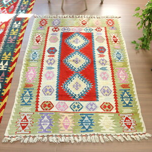 gR̎D胉O JCZ170×117cmhSƔ̕