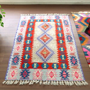 gR̎DL JCZ169×116cmhS̃`[t