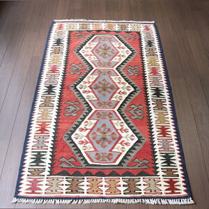 gR̎DLEA_i 133×75cm 3̃Gxf