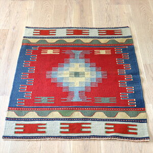 gR̎DL EVN 116×92cm p}ÑfUC