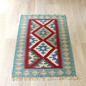 JVJCL C D 96×63cm JtȊ􉽊w`[t