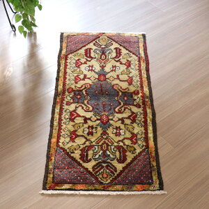 gCoO XgDN gRDO~ 99×49cm x[W̘Zp_I