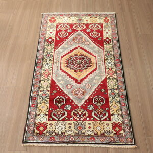 gR@Be[WO@DO~ 162×85cm qn̓`