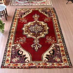 gCoO DO~ gR 246×155cm R Jvi _I