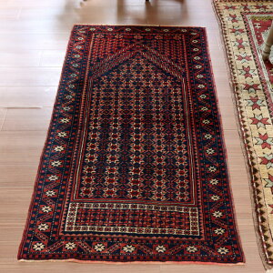 gCoO DO~ gR 146×80cm [WxfB