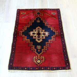 gCoO DO~ gR 109×73cm R WnxC ~t[vƃNṼ`[t