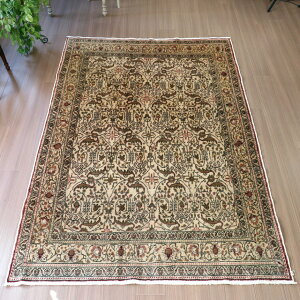 gRDO~@JCZY 225×149cm j[NȘAl