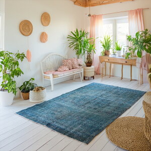 I[o[_Ch Be[WO ^[RCY 244×150cm gRDO~ AbvTCN