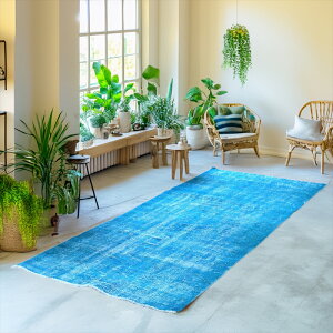 I[o[_Ch Be[WO Cgu[ 208×85cm gRDO~ AbvTCN