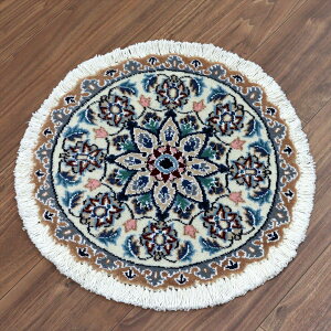 yVO~ iC ~` a42cm Nain 9La/AC{[