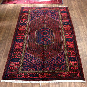 �C�����̎�D���O�~ �n�}�_�� 229×145cm �Z�p���_���I�� ���b�h���l�C�r�[